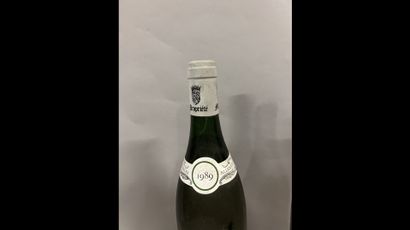 2 bottles PULIGNY-MONTRACHET 