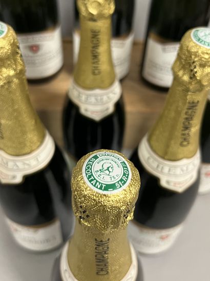 11 bottles CHAMPAGNE Pertois-Lebrun (Cra...