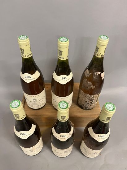 6 bottles MACON CLESSE, René Michel 1986...