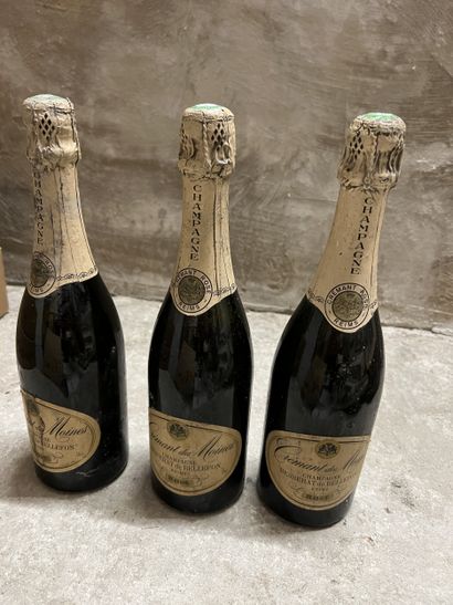 3 bottles CHAMPAGNE 