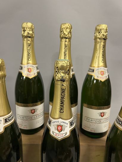 6 bottles CHAMPAGNE 