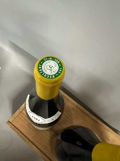 3 bouteilles PULIGNY-MONTRACHET 