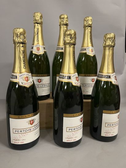 6 bottles CHAMPAGNE 