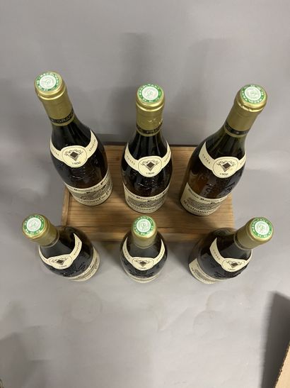 6 bottles CHATEAUNEUF-DU-PAPE white, A. Granier...