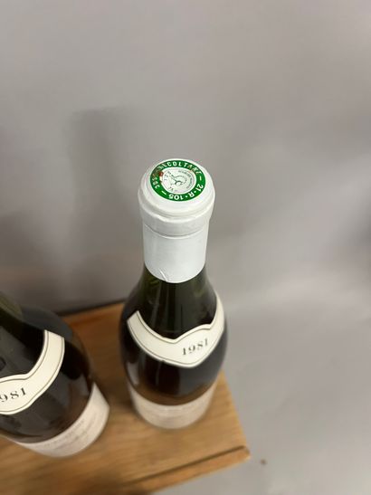5 bottles CHASSAGNE-MONTRACHET 