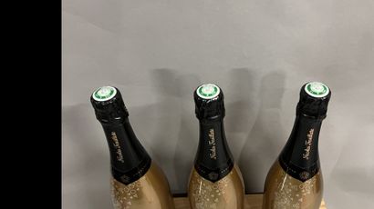 3 bottles CHAMPAGNE 