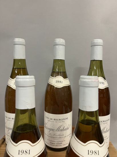 5 bottles CHASSAGNE-MONTRACHET 