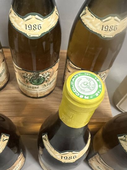 9 bottles BOURGOGNE aligoté, (7 Bouton 1986,...