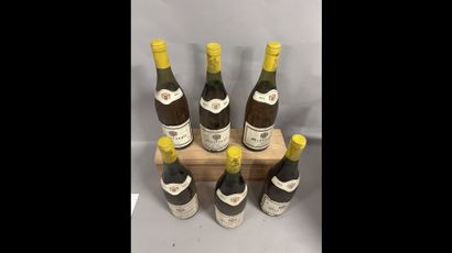 6 bottles MEURSAULT J. Buisson 1983 (ela,...