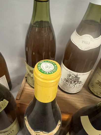 9 bottles BOURGOGNE DIVERS, (Macon-Clessé...