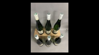 6 bottles GAILLAC O. de Sérac (white)