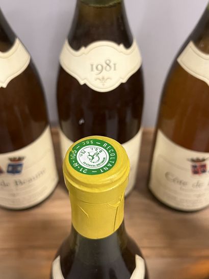 3 bottles PULIGNY-MONTRACHET Lycée Viticole...