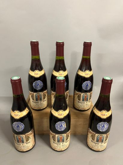 6 bouteilles BLAGNY 