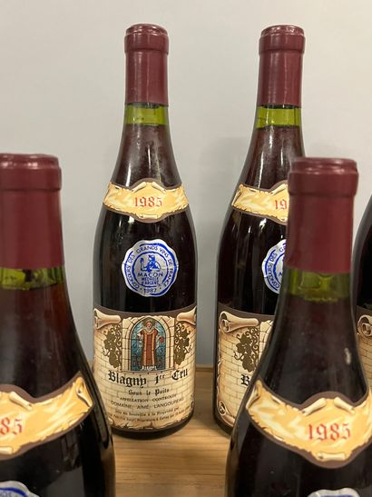 6 bouteilles BLAGNY 