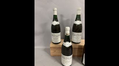 4 bottles PULIGNY-MONTRACHET 