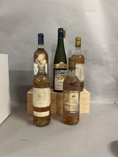5 bottles BLANCS DIVERS (1 Blanc de Lynch-Bages...
