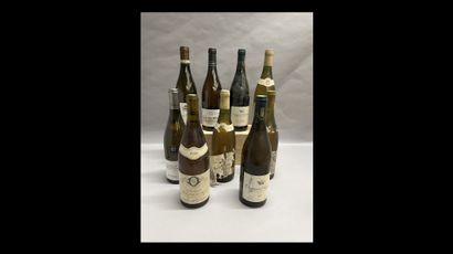 9 bottles BOURGOGNE BLANC DIVERS (Bernard...