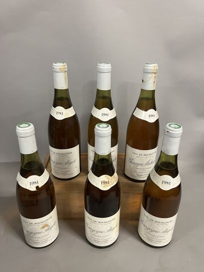 6 bottles BOURGOGNE aligoté, J. Colin 1981...