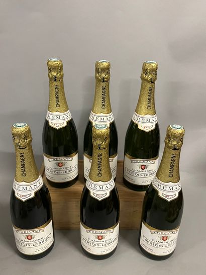 6 bottles CHAMPAGNE 