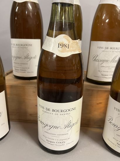 6 bottles BOURGOGNE aligoté, J. Colin 1981...