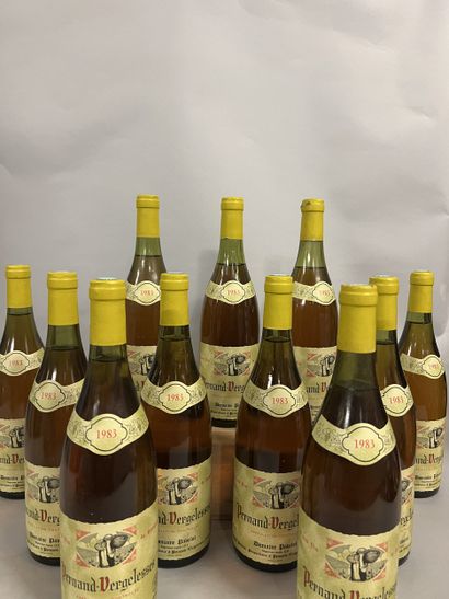11 bottles PERNAND-VERGELESSES Pavelot 1983...
