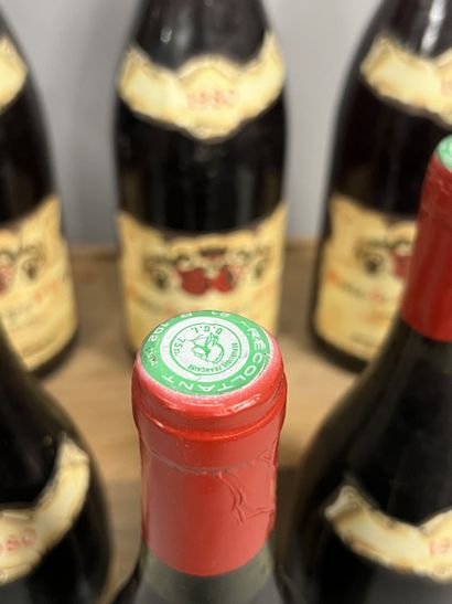 8 bottles NUITS-ST-GEORGES 