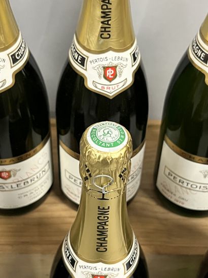 6 bottles CHAMPAGNE 