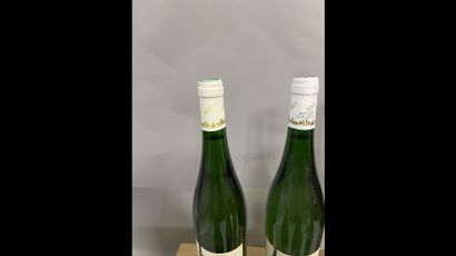 6 bottles GAILLAC O. de Sérac (white)