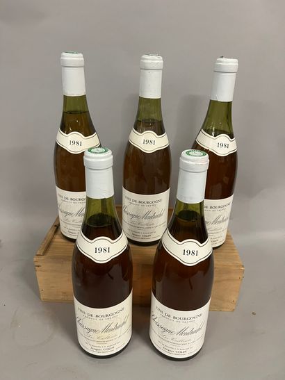 5 bottles CHASSAGNE-MONTRACHET 