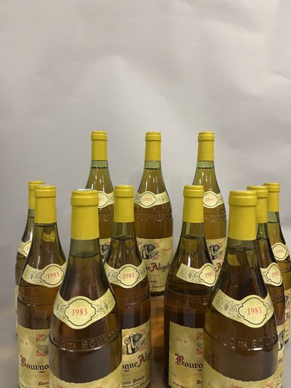 11 bottles BOURGOGNE aligoté, Pavelot 1983...