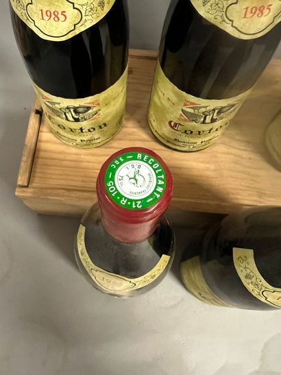 5 bouteilles CORTON Pavelot 1985 (2 TLB,...