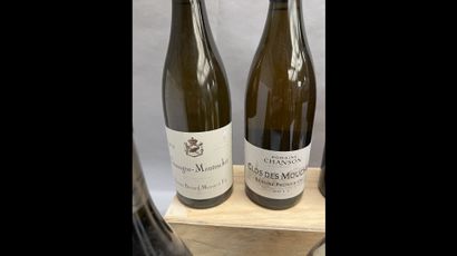 9 bottles BOURGOGNE BLANC DIVERS (Bernard...