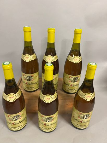 6 bottles CORTON CHARLEMAGNE, Pavelot 19...