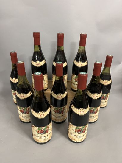 10 bottles COTE DE NUITS VILLAGES, Lippé-Régnier...