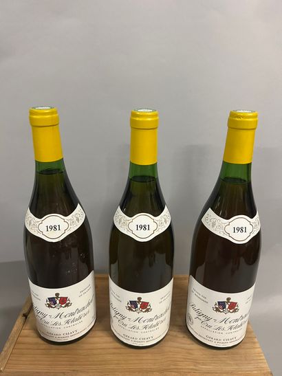 3 bouteilles PULIGNY-MONTRACHET 