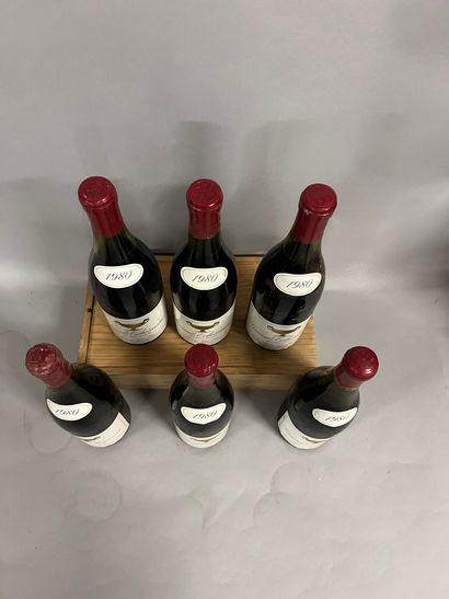 6 bottles GRANDS-ECHEZEAUX, Gros F&S 1980...