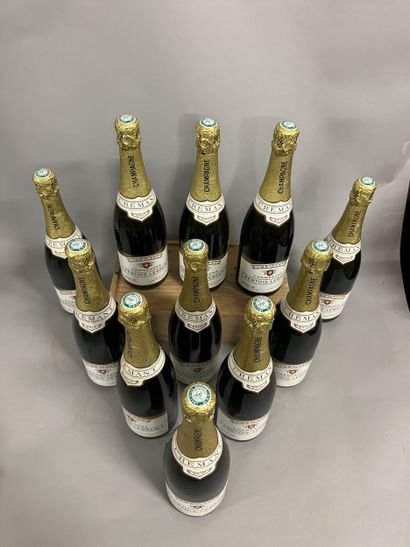 11 bottles CHAMPAGNE Pertois-Lebrun (Cra...
