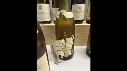 9 bottles BOURGOGNE BLANC DIVERS (Bernard...