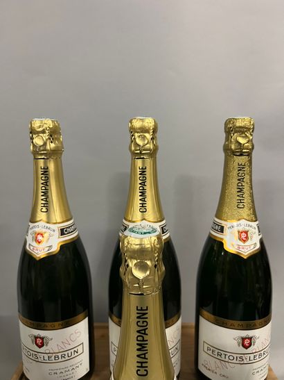 6 bottles CHAMPAGNE 