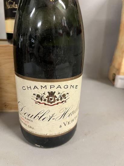 6 bottles CHAMPAGNE DIVERS (1 Bouble-Hadot...