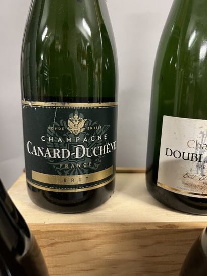 6 bottles CHAMPAGNE DIVERS (1 Bouble-Hadot...