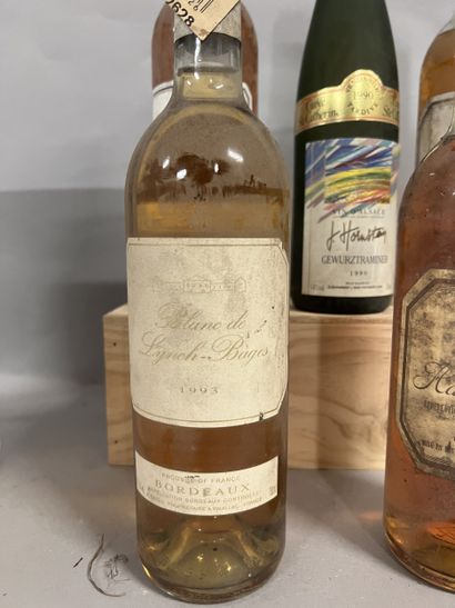 5 bottles BLANCS DIVERS (1 Blanc de Lynch-Bages...