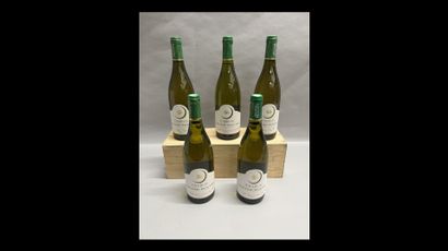 5 bottles CHABLIS 