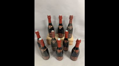 9 bottles COTEAUX CHAMPENOIS ROUGE Sadi ...