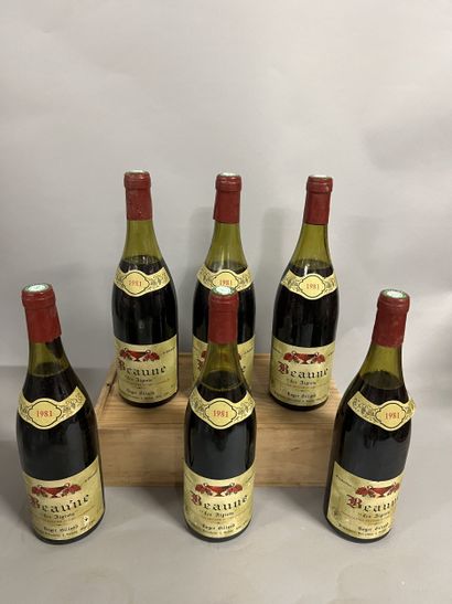 6 bottles BEAUNE 