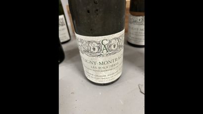9 bottles PULIGNY-MONTRACHET 