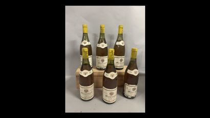 6 bottles MEURSAULT J. Buisson 1983 (ela,...