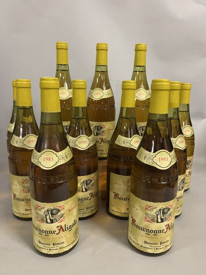 11 bottles BOURGOGNE aligoté, Pavelot 1983...