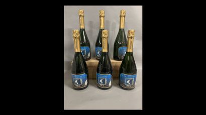 6 bottles CHAMPAGNE 