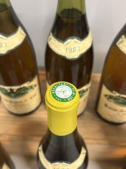 8 bottles SAINT-AUBIN 